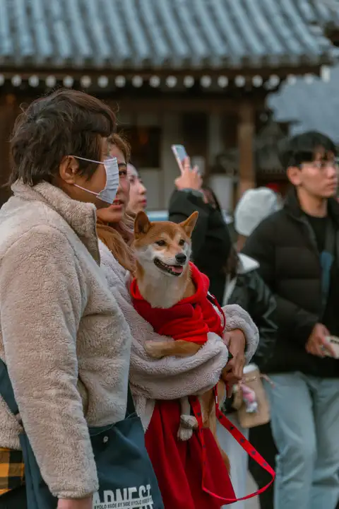 A masked visitor holding a small dog among a temple crowd