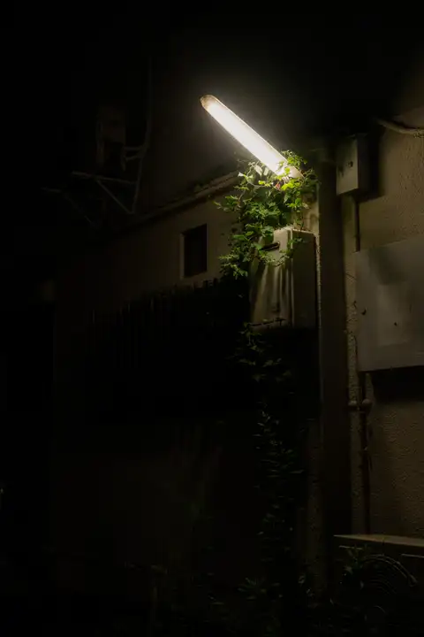 A narrow nighttime alley lit by a fluorescent lamp above a doorway
